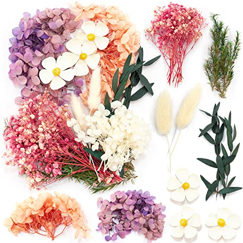 iDattel Natural Dried Flowers, Dry flowers Mixed, DIY Natural Dried Flower Set for Arts Crafts DIY Resin Scrapbooking Craft Card Making (Pink White Rose)