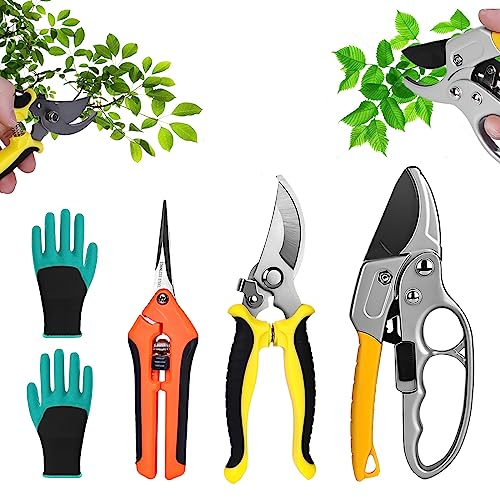 Garden Secateurs Set, 3 Pack Garden Cutters Secateurs with Garden Glove, Pruning Shears, Sacatears Garden Clippers, Stainless Steel Sharp Pruner Secateurs for Fruit Branch, Hedge, Bouquet Making
