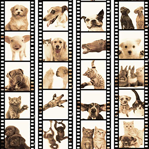 murando PREMIUM PURO Tapete Realistische Tapete ohne Rapport und Versatz 10m Vlies Tapetenrolle Wandtapete modern design Fototapete Tiere Katze Hund Pferde Schwein g-C-0026-j-c