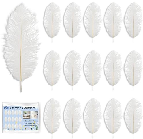 15pcs Ostrich Feathers, 6-8 Inch White Ostrich Feathers, Natural Ostrich Plume Set, White Feathers for Crafts Home, for DIY Craft Art Design Home Wedding Table Christmas Tree Decoration Party