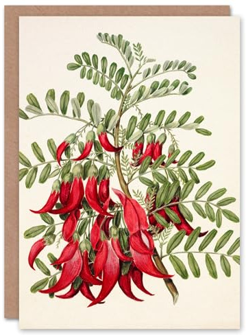 Artery8 Sarah Featon Art Card New Zealand Kaka Beak Plant Flowers