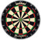 WINMAU Blade 6 Dual Core Professional Bristle Dartscheibe