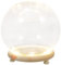 FOMIYES Clear Glass Cloche Globe Display Dome with LED Lights Base Glass Plant Terrarium Preserved Flower Dome Cover Display Case with Wood Base for Lamp Succulents Home Decor