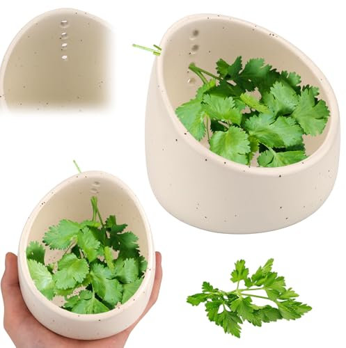 Herb Stripper, Pottery Herb Stripper Bowl, Ceramic Herb Stripper Bowl, Herb Stripper Bowl Ceramic, Handmade Different Round Hole Sizes, Kitchen Leaf Stripping Tools for Fresh Herbal Leafy Greens