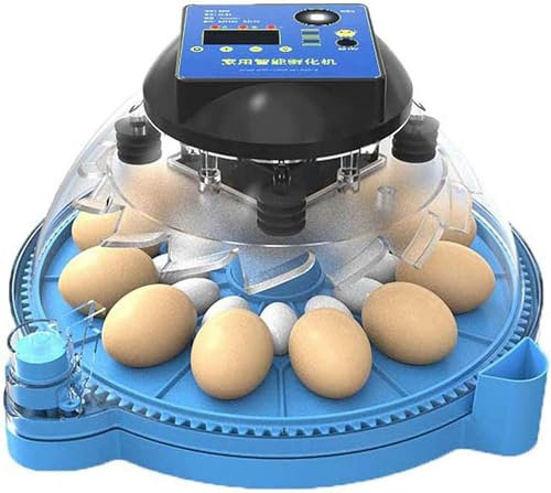 OZBMA Incubatrici per Uova, Incubatrice Rotonda per Uccelli da Cortile, Incubatrice con Schermo Digitale e Controllo Automatico della Temperatura, per incubare quaglie, Colombe, oche e Pulcini