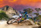 wandmotiv24 Fototapete Enduro Motorbike Racing, L 300 x 210 cm - 6 Teile, Wanddeko, Wandbild, Wandtapete, Sport, Motorrad, Extreme M0686