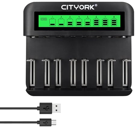 CITYORK Battery Charger for AA AAA C D NI-MH/NI-Cd Battery with Micro USB & Type C Input - Fast Charging, Automatic Detection, Overcharge Protection Function (Appearance May Vary)