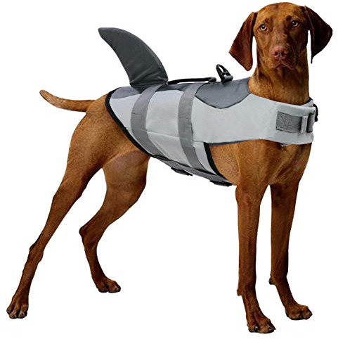 CITÉTOILE Dog Life Jacket Floatation,Pet Life Vest Shark Costume,Puppy Safety Vest for Swimming Pool,Beach,Boating,XS-XXL for Small Medium large Dogs M Training with Rescue Handle,Grey
