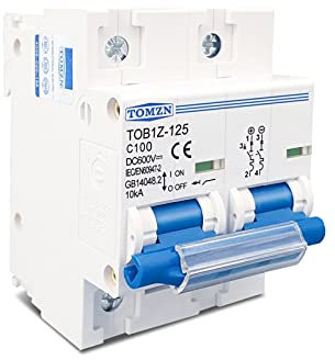 LARRO Disjoncteur 2P 100A 80A 125A DC MCB 600V disjoncteur for système PV Batterie Interrupteur Principal (Size : 80A)
