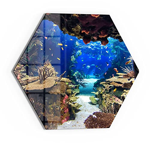 DEQORI Glasbild Echtglas | Motiv Exotisches Aquarium | sechseckig einteilig 40x34,5 cm | schöne Dekoration | Wandbild für Wohnzimmer, Schlafzimmer, Flur & Küche | moderne Wanddeko