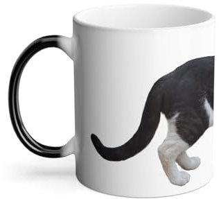 Mug Thermo-réactif Tasse Magique - Chat Noir et Blanc Europeen Mignon Chat de Ville - 325 ml