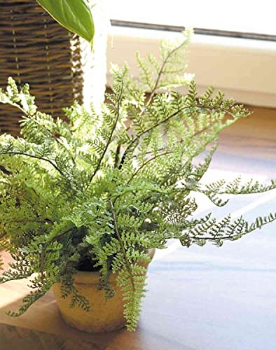 artplants.de Kunst Boston Farn MARGARETA, im Dekotopf, 25cm, Ø30cm - Künstlicher Boston Farn