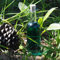 10 bottiglie in vetro da 200 ml con tappo in sughero + 10 scatole, bottiglia per vino, liquore, whiskey, rum, ideali per souvenir