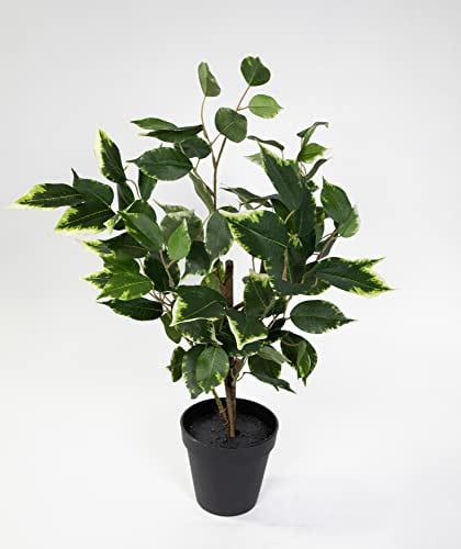 Seidenblumen Roß Ficus Benjamini 48cm im Topf LA Kunstpflanze künstliche Pflanzen Birkenfeige