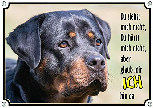 Petsigns Hundeschild - Rottweiler - Warnschild Wachhund - uv-beständiges Metallschild, DIN A5