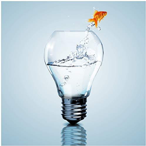 Wallario Glasbild Goldfisch springt aus Aquarium - 50 x 50 cm Wandbilder Glas in Premium-Qualität: Brillante Farben, freischwebende Optik