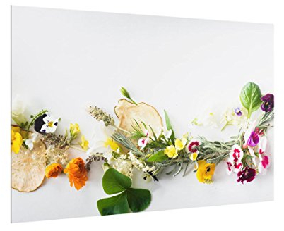 Spritzschutz Glas für Küche & Herd 40 cm x 60 cm Frische Kräuter Bild-Motiv