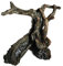 OMEM Abri pour reptiles - Décoration d'habitat - Terrarium - Cachette d'arbre - Humidifie les grottes