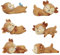 LOVIVER 6 Stücke REH Tierfigur Silikagel REH Deko Figur Badezimmer Dekoration Baddeko