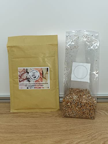 Pink Oyster Mushroom Spawn/Seed, Foragers Table 250g heat sealed bag (Pleurotus djamor)
