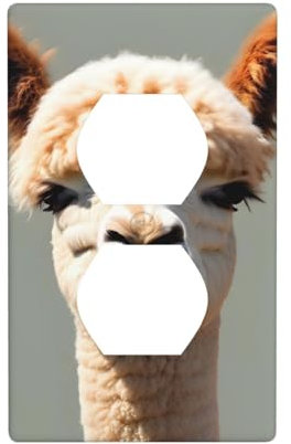 Alpaka Avatar Duplex Steckdose Dekorative Wandplatte mit 1 lackierten Schraube für Lichtschalter, Dimmer und Steckdosen