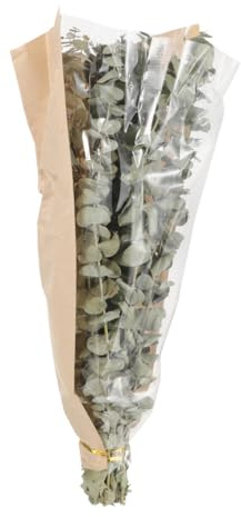 GOOHOCHY Getrockneter Lavendel und Eukalyptus Bündel Natürliches Dusch Dekor Langlebige Pflanzen Dekoration für Badezimmer und Wohnraum 12 Eukalyptusstängel ca 40g Lavendel