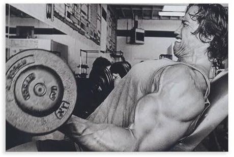 Arnold Schwarzenegger 2 Leinwand Poster Wand Kunst Dekor Drucken Bild Gemälde Für Wohnzimmer Schlafzimmer Dekoration Unframe-style 12x18inch(30x45cm)