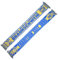 Wallitschek Schal Braunschweig - Tradition seit 1895, blau-gelb, Strickschal, Fussball