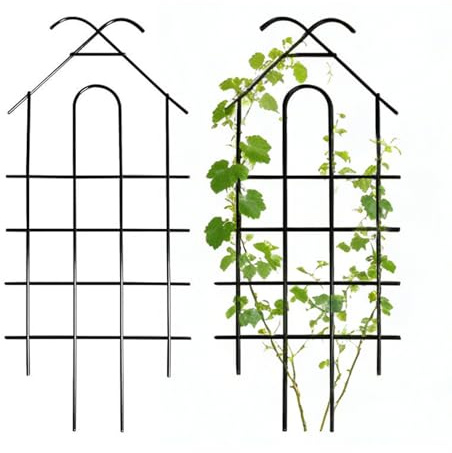 Nevalerra Treillis en métal - Piquet de Cage de Vigne - 52 cm de Haut - Treillis à Roses pour Porte intérieure, Tomate, Vigne, Rose, Monstera, pothos