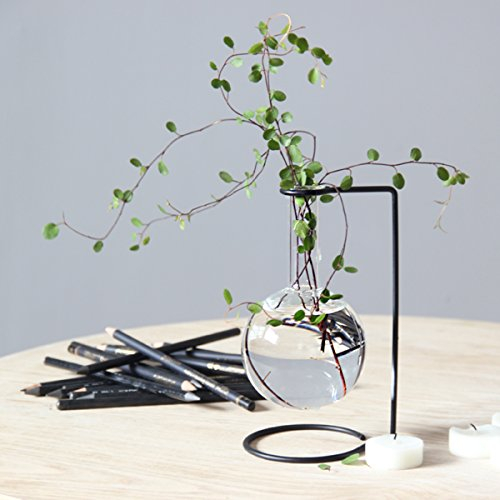 Hanging Glass Black Metal Beaker Bud Vase Flower Plant Pot Holder (C Style)