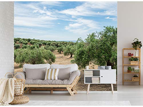Fotomural Vinilo Para Pared Mar de Olivos | Fotomural para paredes | Mural | Vinilo Decorativo | Varias Medidas 400 x 300 cm | Decoración comedores, salones, habitaciones...