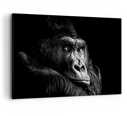 Wandbilder Dekoration Wohnzimmer Affe Gorilla Porträt Bilder auf Leinwand 120x80cm Leinwandbild Schlafzimmer Küche Deko Wand Kunstdruck Art Groß XXL Wanddeko Bild Wall Decor Canvas AA120x80-5007
