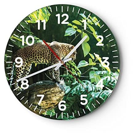 Modern Wanduhr Dschungel Leopard Panther 30x30cm Rund Klein Wand Uhr Glas Analog Zimmeruhren Küche Büro Wohnzimmer Glasuhr Wall Clock Dekoration Design Wanddekoration Küchenuhr C4AR30x30-4502