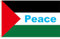 Wudaizhi 90 * 150cm Palestina Polyéster Paz Palestina Bandera Palestina para El Patio Intervisión Jardín De Jardín Decoración del Hogar Flaros del Desfile del Hogar