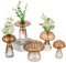 Glasseam Pilz Kleine Vasen für Deko: Cute Glas Vase Geschenk für Mama Freunde Pflanze Liebhaber - Mini Braun Blumenvase Klein Propagation Station für Home Wohnzimmer Esstisch Fensterbank