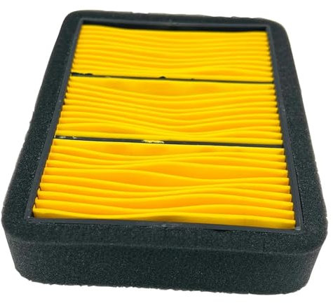 MKSZY Filtro Aria per Motocicletta per B&enelli Leoncino 500 2016-2023 Leoncino Trail 2017-2023 502C 502 C 2019-2023 49200P180000