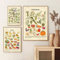 Vintage Gemüse Obst Küche Kräuter Pädagogische Poster Und Drucke Botanisch 3 Stück Leinwand Gemälde Wandkunst Bilder Zimmer Wohnkultur 30Cmx40Cmx3Pcs Kein Rahmen
