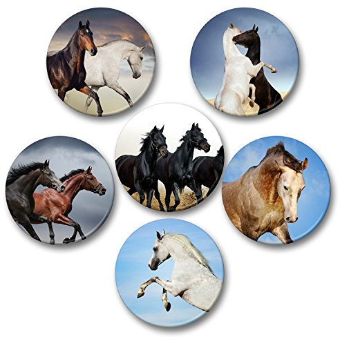 Merchandise for Fans Pferde Schimmel Rappe Fohlen - 6 große Kühlschrankmagnete (9)