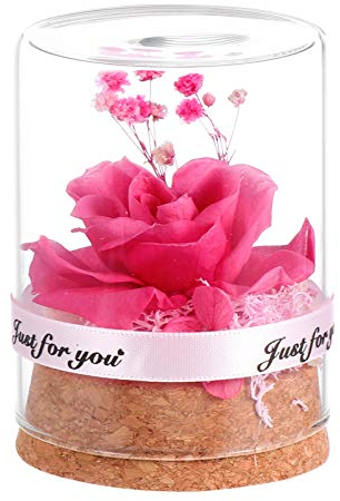 Preserved Flower In Glass Dome Everlasting Forever Handmade Flower Artificial Flower Bonquets Valentines Day Gifts Pink