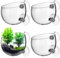 yotutun Lot de 4 supports de plantes aquatiques en verre avec 8 ventouses, décoration en verre cristal pour plantes d'aquarium, support pour plantes d'aquarium, support pour décoration d'aquarium