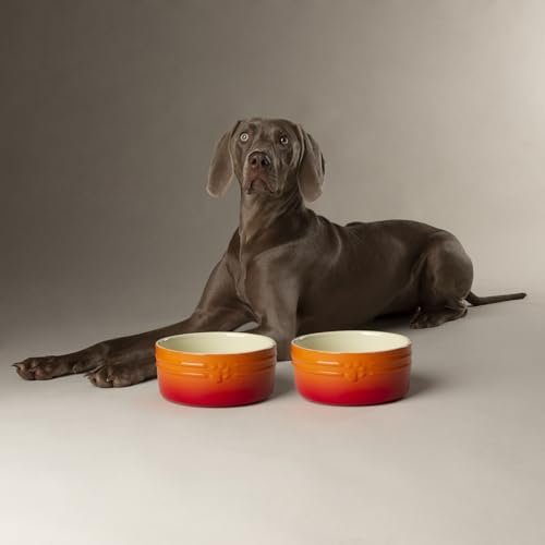 Scruffs Ombre 2pc Ceramic Dog Bowl Set - Orange 19cm