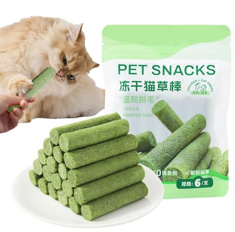 Shaersu Katzengras Beißstab, Katzenzähne Reinigung Gras Stick, Tier Kauspielzeug, Katzenminze Spielzeug Indoor Kitten, Natürliche Zähne Gesundheit Für Indoor Kätzchen