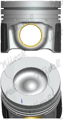 NÜRAL 87-452900-00 Piston Engine Piston 73.2 mm Box