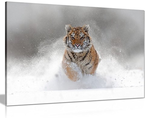 Panther Print Kunstdruck auf Leinwand, Motiv Sibirischer Tiger im Schnee, 76,2 x 50,8 cm