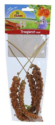 JR Farm rote Kolbenhirse - 75 g