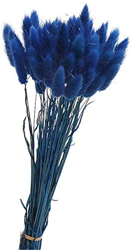 Yeehliny Pflanzenstiele, ländlicher Stil, Hasenschwanz Trockenblumen Deko ewig haltbar Pampasgras & getrocknete Blumen Pampasgras Trockenblumenstrauß Vase Deko,50 Stück (Saphirblau)