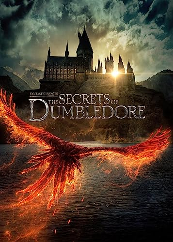 Displate - Poster aus Metall - Einfache Montage ohne Bohren - Wizarding World - Fantastic Beasts Movie Posters - The Secrets of Dumbledore - Größe M - 32x45cm Matt