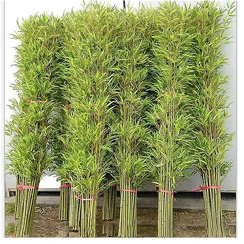 Cloison de confidentialité artificielle en bambou, barrière de séparation de pièce de plantes de simulation imperméables for décoration intérieure et extérieure, polyvalente ( Color : H1m/3.3ft , Size