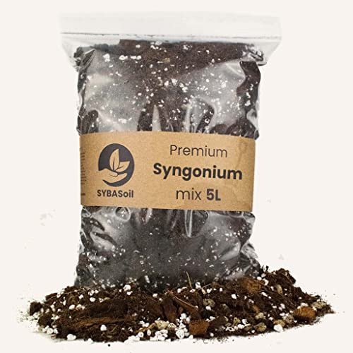 Sybotanica Syngonium-Erde 10 L – Premium Coco Blumenerde für Syngnonium, Pilea & mehr, Torffrei & 180 Tage Bio-Dünger – Für Zimmerpflanzen-Liebhaber