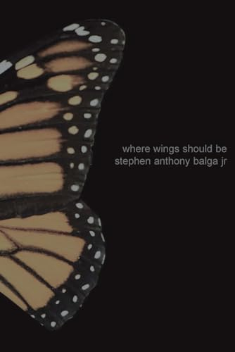 Where Wings Should Be